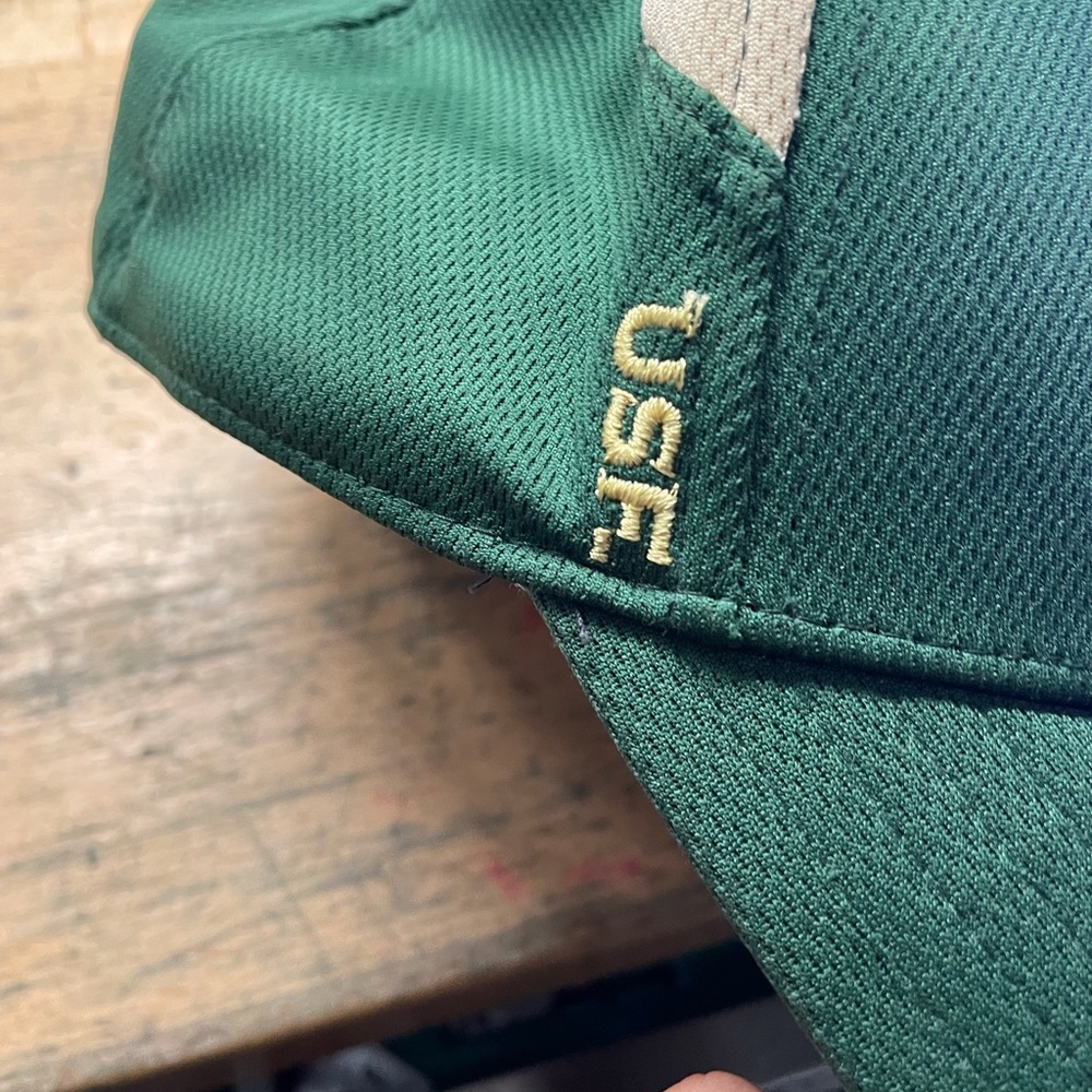 Bulls team fan hat